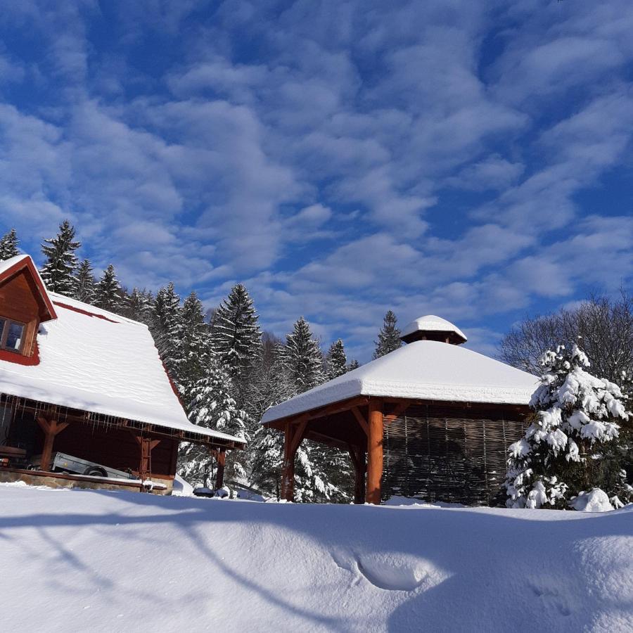 Pegazowa Wola Cisna Apartamento Exterior foto