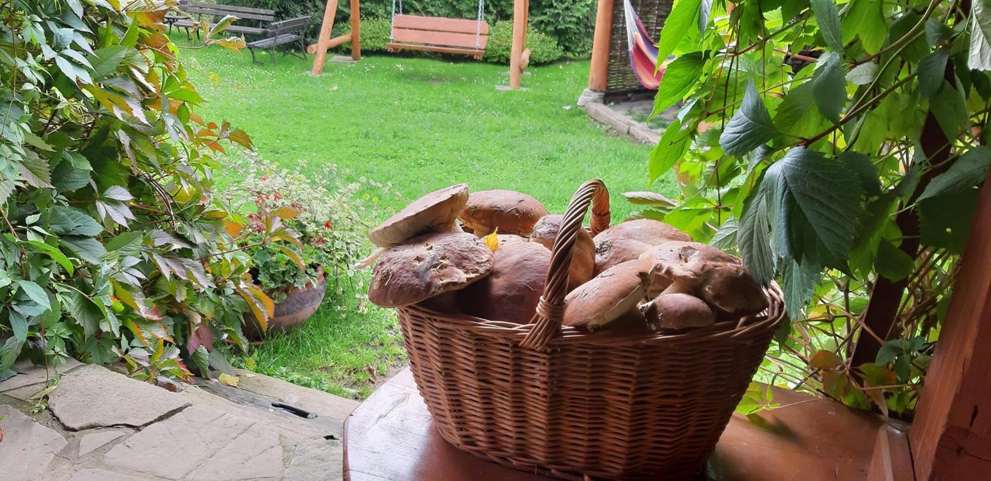 Pegazowa Wola Cisna Apartamento Exterior foto