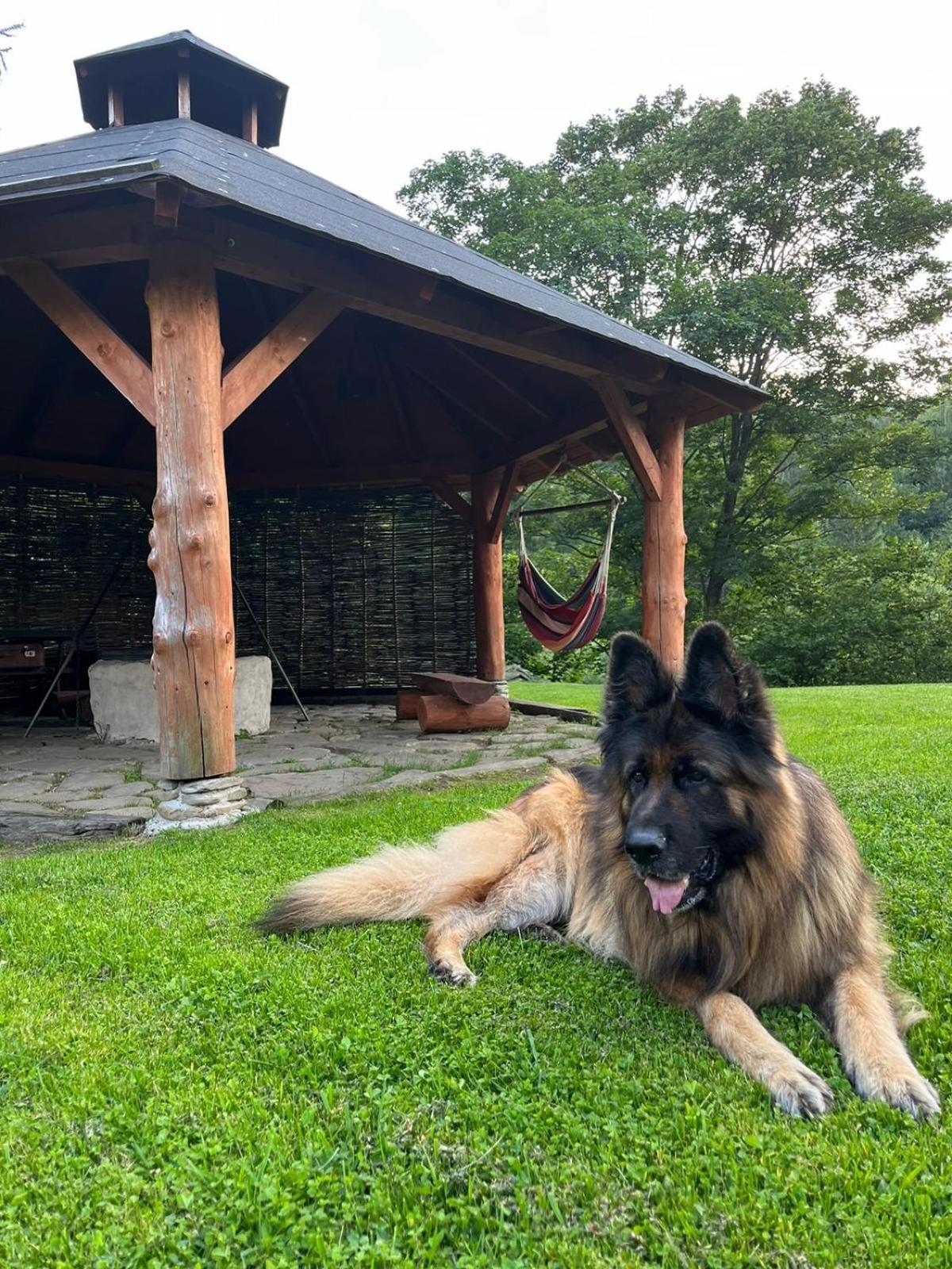 Pegazowa Wola Cisna Apartamento Exterior foto