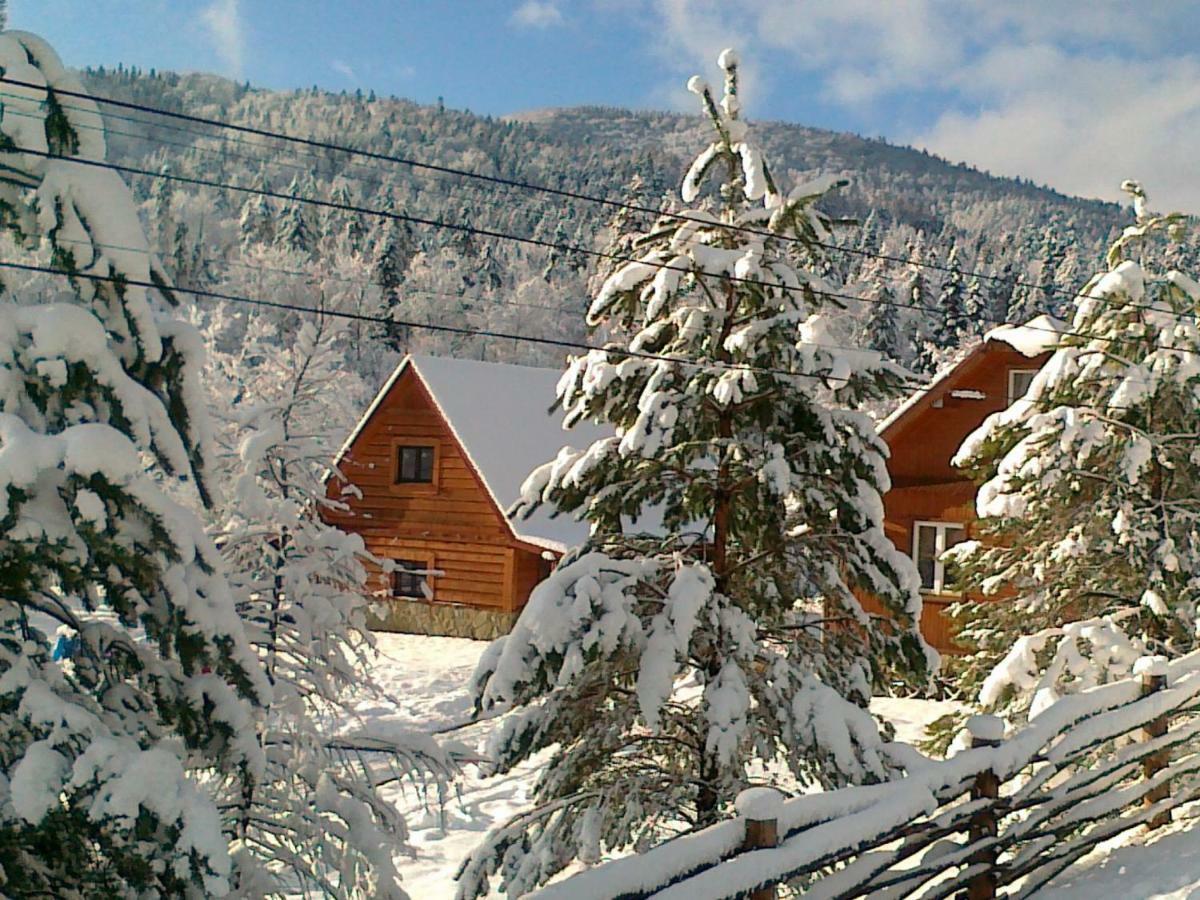 Pegazowa Wola Cisna Apartamento Exterior foto