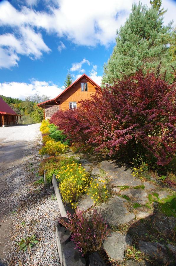 Pegazowa Wola Cisna Apartamento Exterior foto